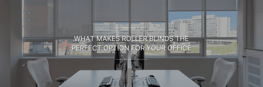 white roller blinds in a office space