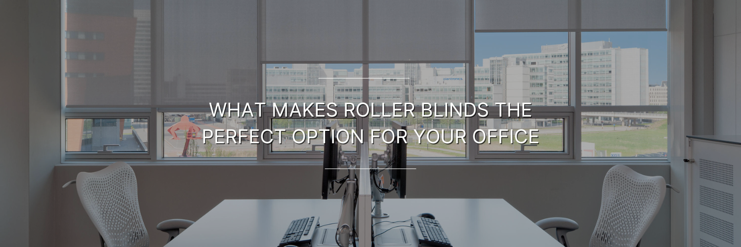 white roller blinds in a office space