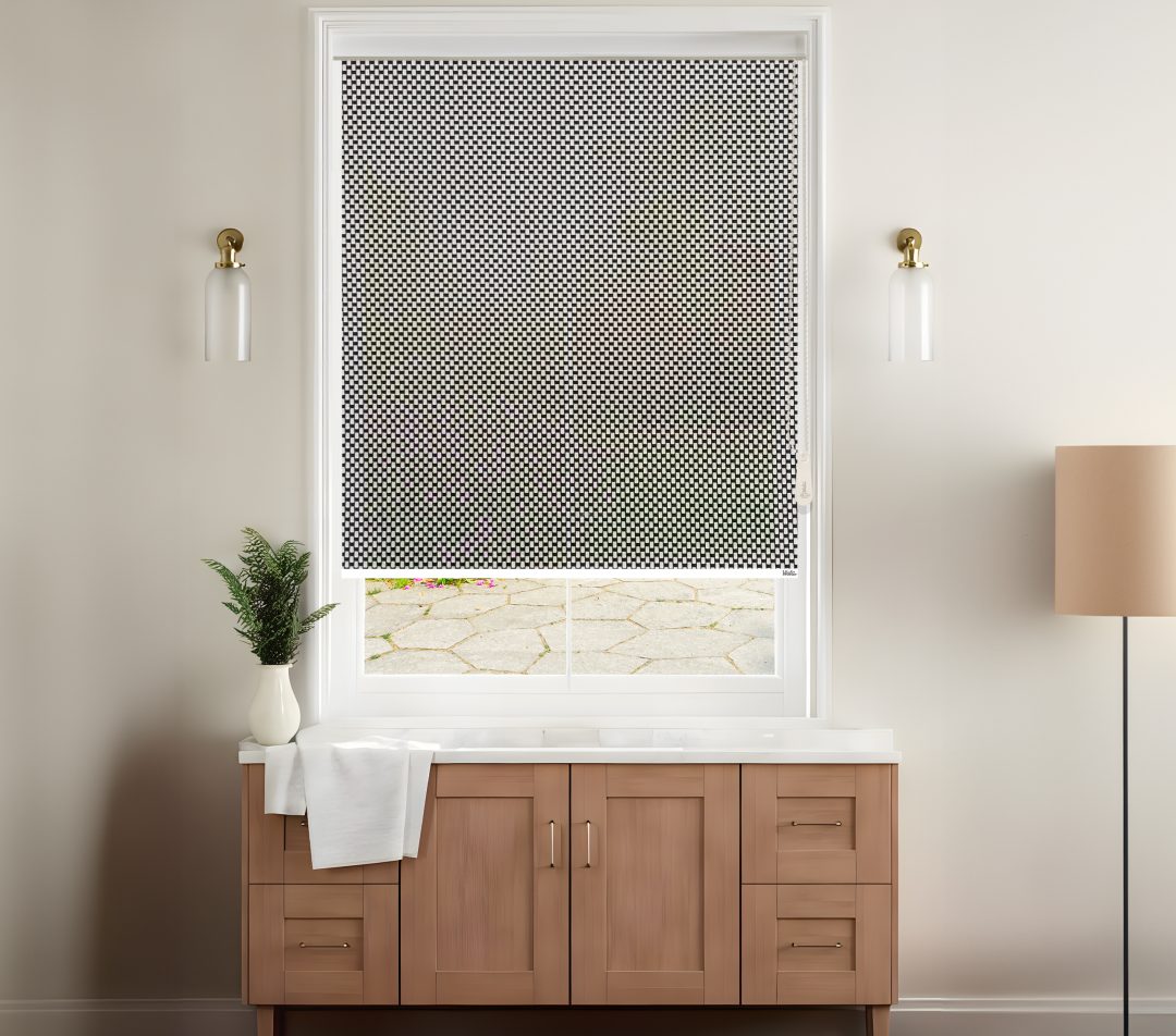 Roller Blinds - Screen Classic 5% III(562 Black White)