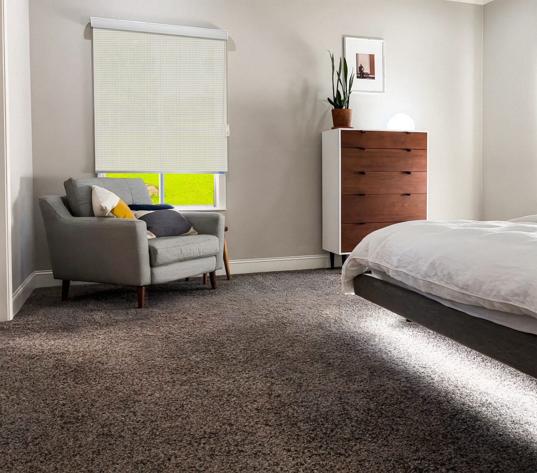 Roller Blinds - Screen Classic 8%(Champagne 883) - Image 2