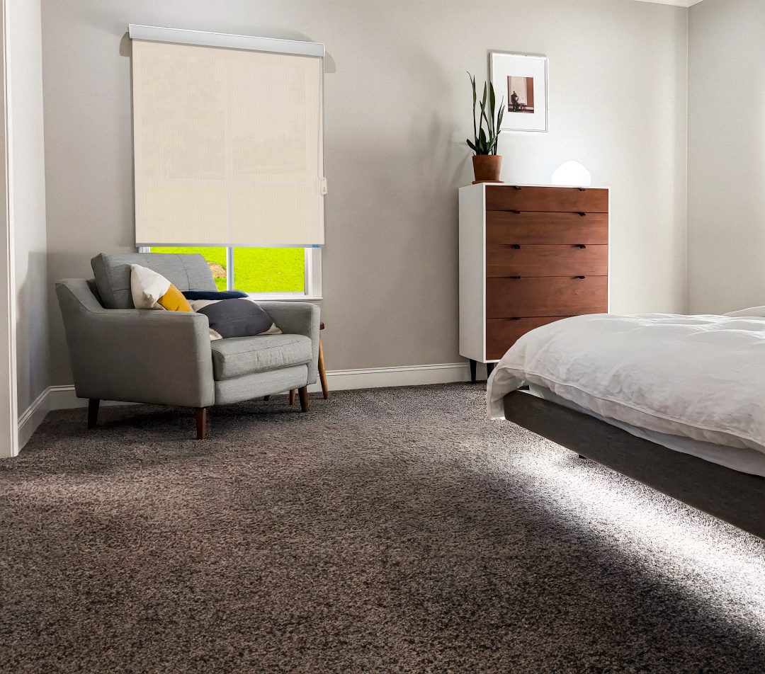 Roller Blinds - Screen Classic 5% (552 Fawn) - Image 2