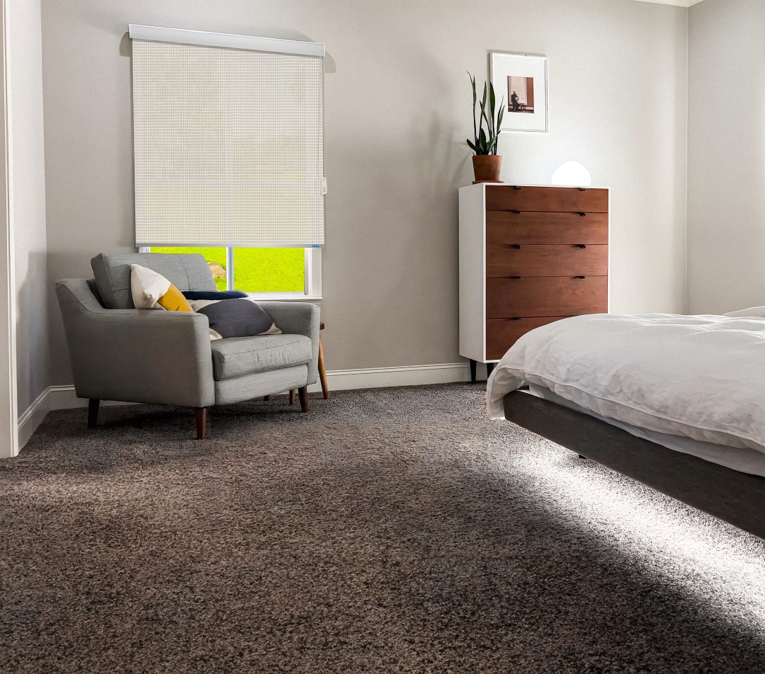 Roller Blinds - Screen Classic 5% II(553 Champagne) - Image 2