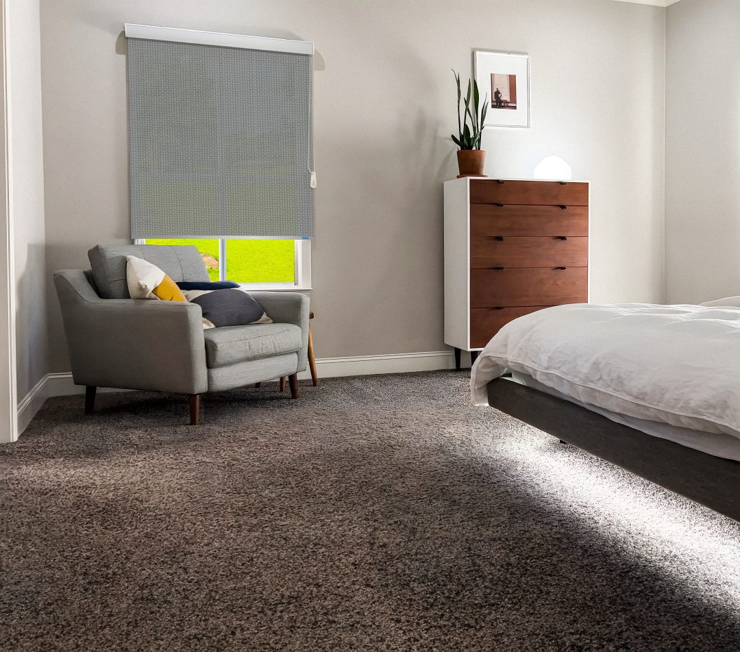 Roller Blinds - Screen Classic 5% III(558 Dark Grey) - Image 2